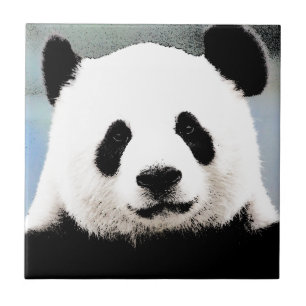 Panda Kakelplatta