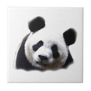 Panda Kakelplatta