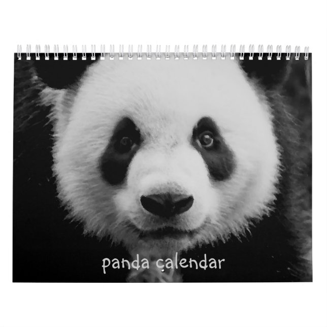 Panda Kalender (Omslag)