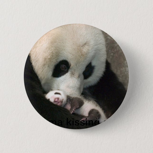 Panda kissing cub knapp (Framsida)