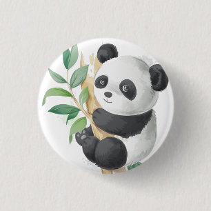 Panda Knapp