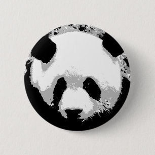Panda Knapp