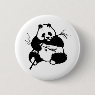 Panda Knapp