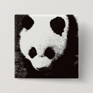 Panda Knapp