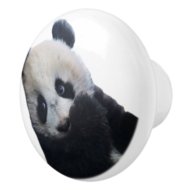 Panda Knopp (Höger)