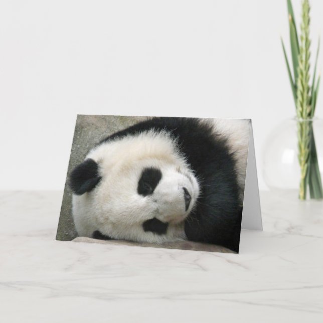 Panda Kort (Framsida)