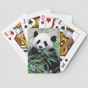 Panda Kortlek