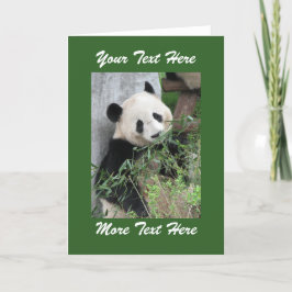 Panda Lägg Till Din Egen Text Blank Insida Alla Ti Kort