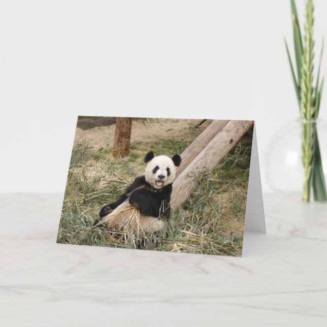 Panda M001 Kort (Framsida)