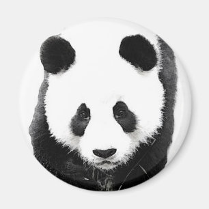 Panda Magnet
