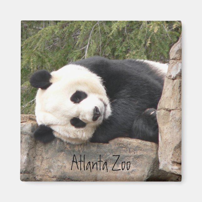 Panda Magnet (Framsidan)