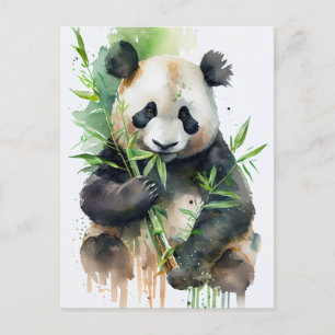 Panda med svart och vitt päls. vykort