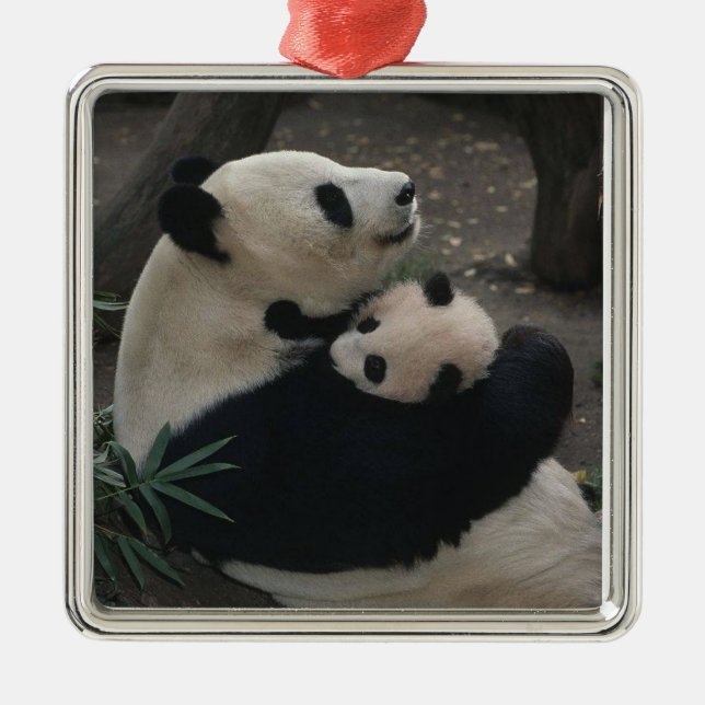 Panda Momma och Baby Julgransprydnad Metall (Framsidan)