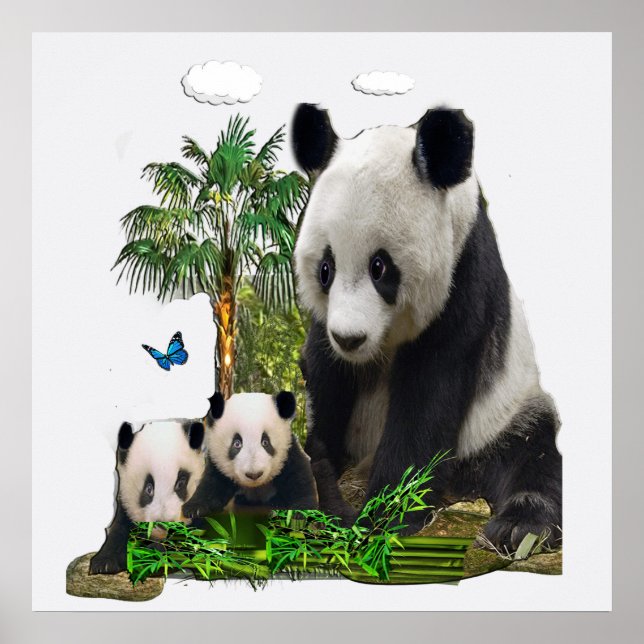 Panda-mönster Poster (Framsidan)
