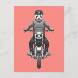 Panda Motorcyle Rider Vykort