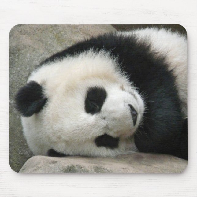 Panda Musmatta (Framsidan)