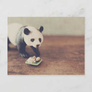 Panda och Sushi-vykort Vykort