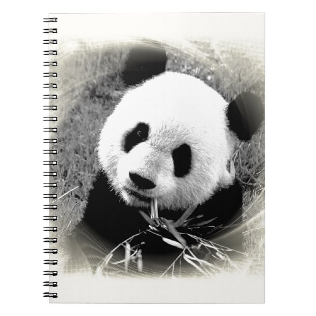Panda Öga Anteckningsbok Med Spiral (Framsidan)