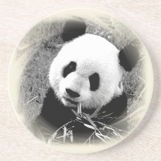 Panda Öga Underlägg Sandsten (Framsidan)