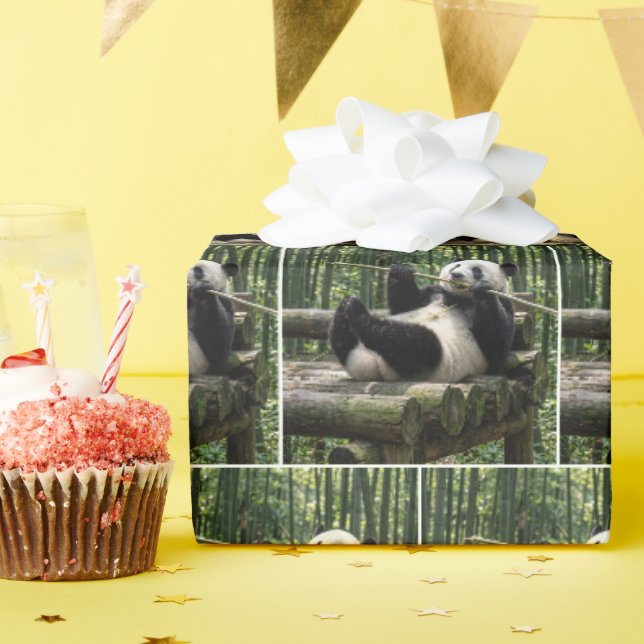 Panda på en stockplattform presentpapper (Födelsedagsfest)