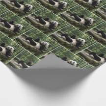 Panda på en stockplattform