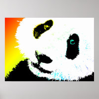 Panda.