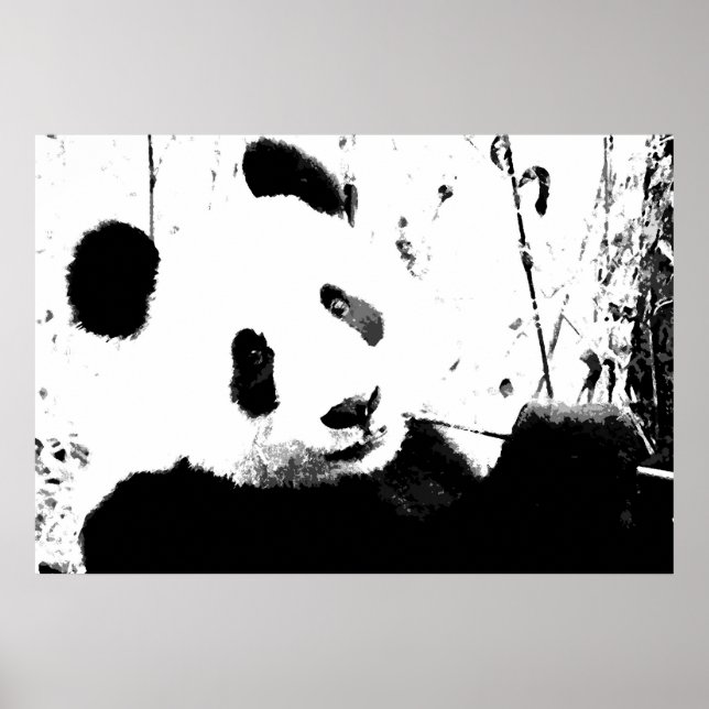 Panda Poster - Black & White Panda Ansikte (Framsidan)