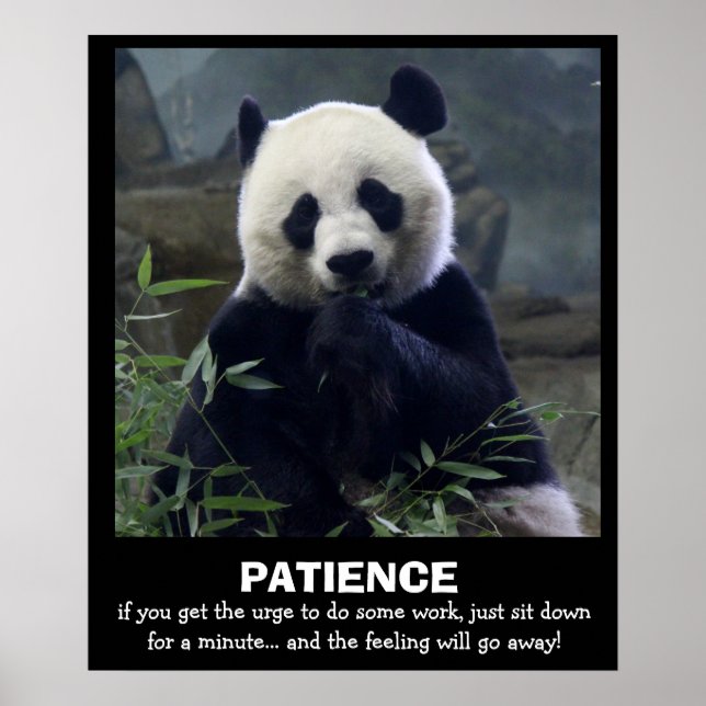 Panda Poster, PATIENCE Poster (Framsidan)