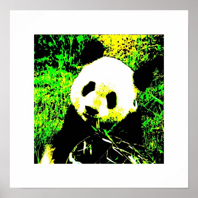 Panda Poster utskrifter - Panda Eating-Poster (Framsidan)