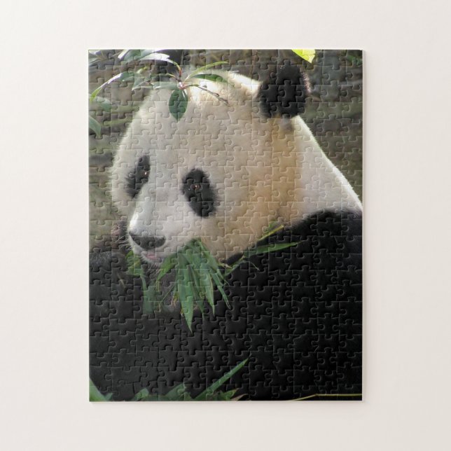 Panda Pussel (Vertikal)