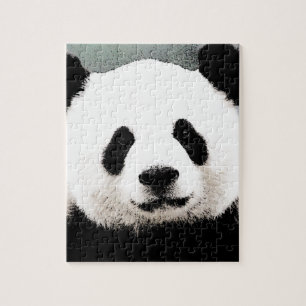 Panda Pussel