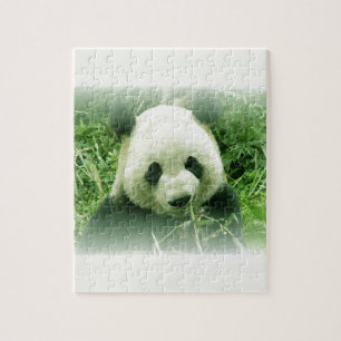 Panda Pussel