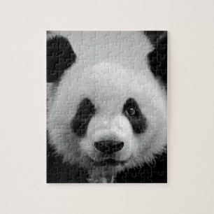 Panda Pussel