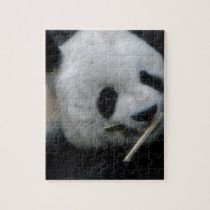 Panda Pussel