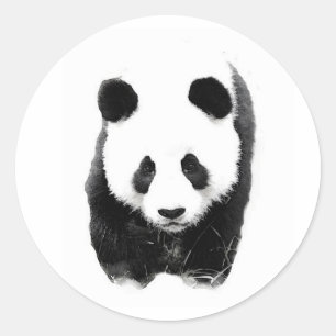 Panda Runt Klistermärke