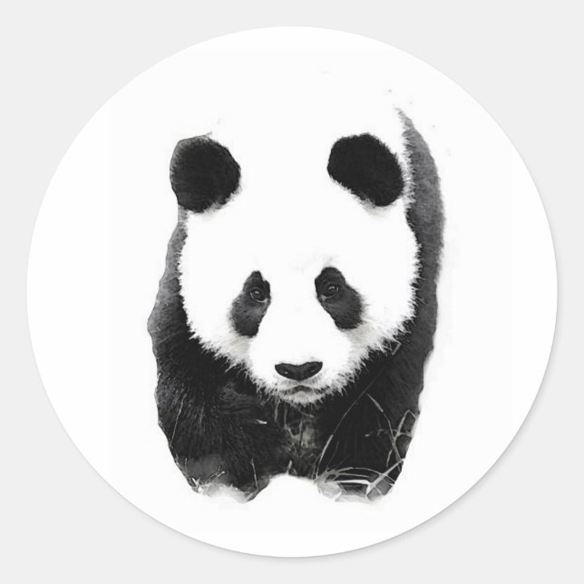 Panda Runt Klistermärke (Framsida)