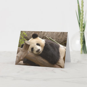 Panda SD010 Kort