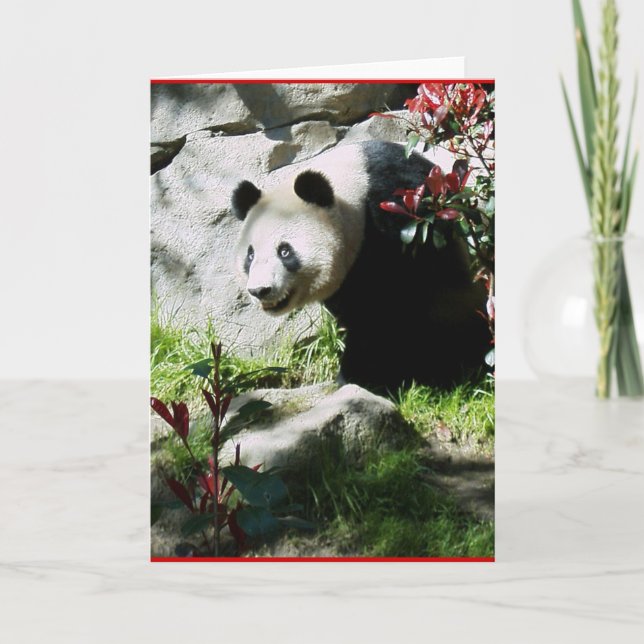 Panda Smile Kort (Framsida)