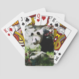 Panda Smile Spel Kort
