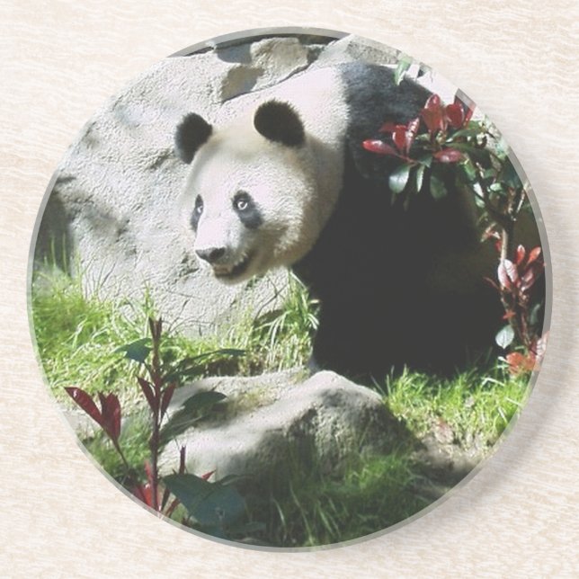 Panda Smile Underlägg (Framsidan)
