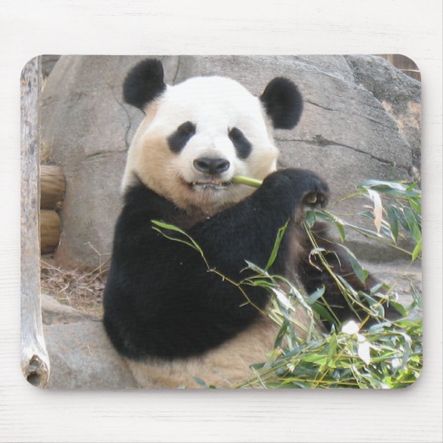 Panda Snack Musmatta (Framsidan)