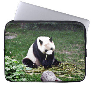 Panda som äter bambu laptop fodral
