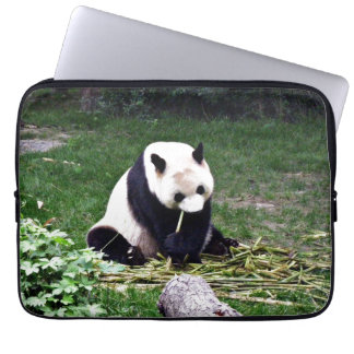Panda som äter bambu laptop fodral