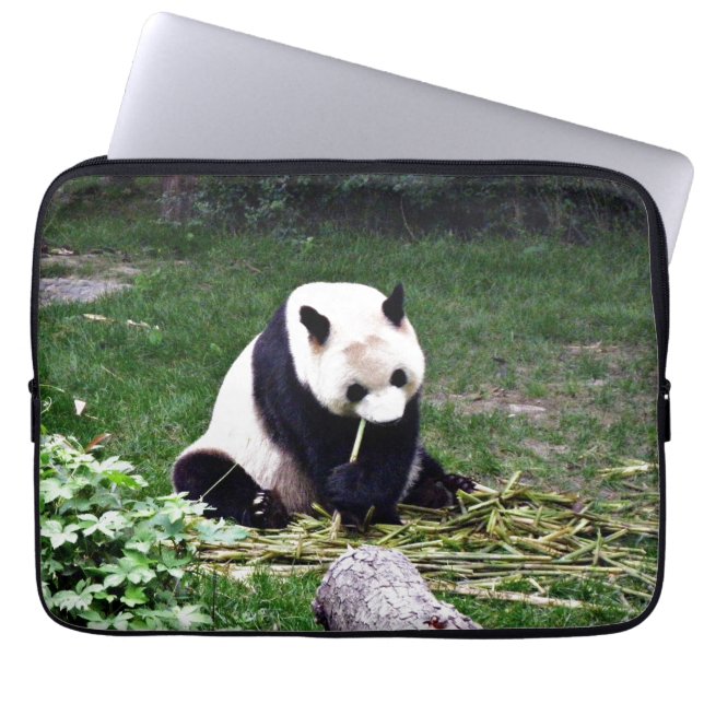 Panda som äter bambu laptop fodral (Framsidan)
