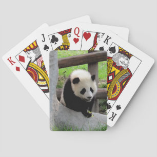 Panda Spel Kort