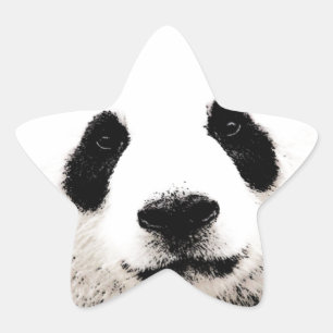 Panda Stjärnformat Klistermärke