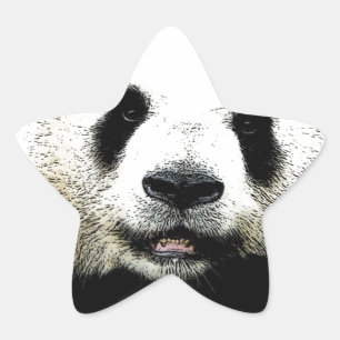 Panda Stjärnformat Klistermärke
