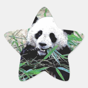 Panda Stjärnformat Klistermärke