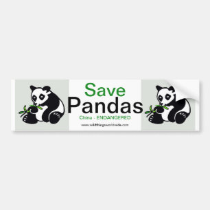 Panda - stötdekal bildekal