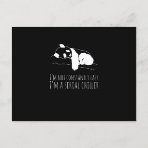 Panda Sweet Funny Funny Koala Animals Vykort